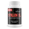 Stallion XL